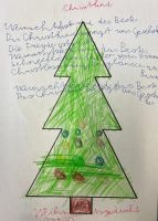 baum2