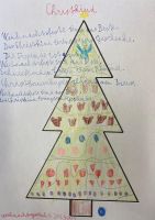 baum5